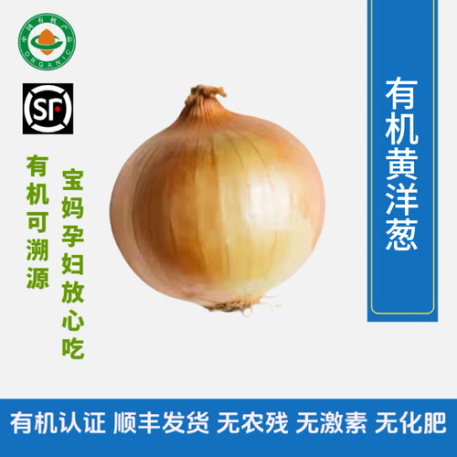 有机黄洋葱白洋葱新鲜现摘现发蔬菜有机蔬菜顺丰包邮
