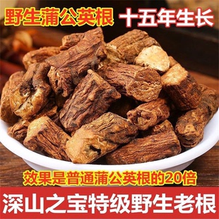 蒲公英根茶官方旗舰店东北老根养生茶特产级正品中药材新鲜无硫茶