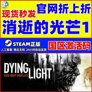 steam消逝的光芒决定版 消失的光芒终极版DyingLight加强版国区