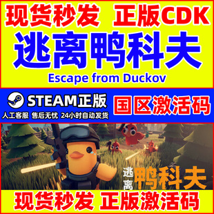from Duckov 国区激活码 steam游戏 PC正版 Escape CDK 逃离鸭科夫