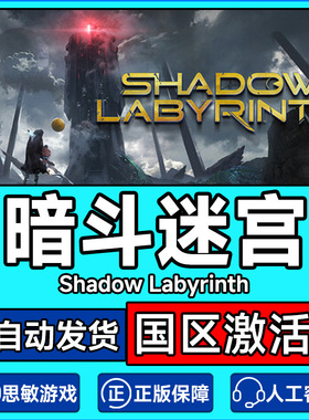 steam游戏 暗斗迷宫 Shadow Labyrinth 国区激活码CDK PC正版游戏