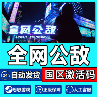Steam 全网公敌 Cyber Manhunt 国区激活码CDKEY 正版PC游戏