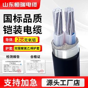 YJLV22铠装铝芯电缆线2芯0.6/1kv地埋电缆2芯10-400平方电线
