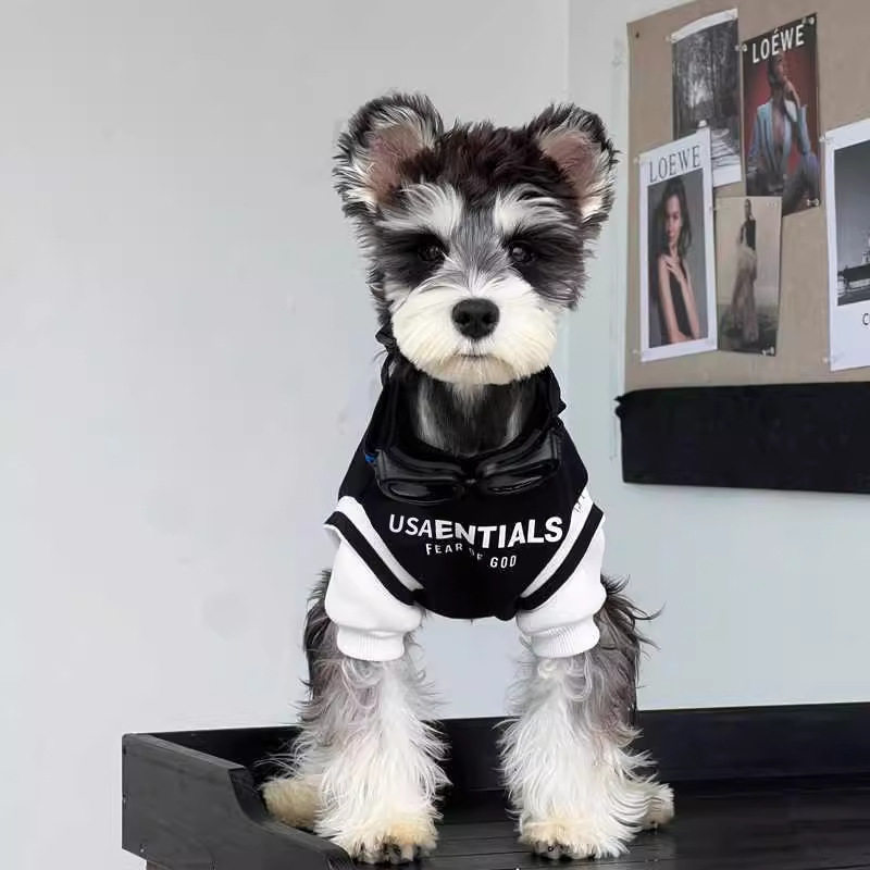狗狗衣服雪纳瑞泰迪博美