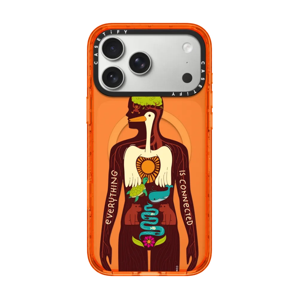 现货CASETiFY万物皆有关联适用苹果iPhone17 Pro Max手机壳16/15/14磁吸时尚潮牌13独特高级感防摔保护套air