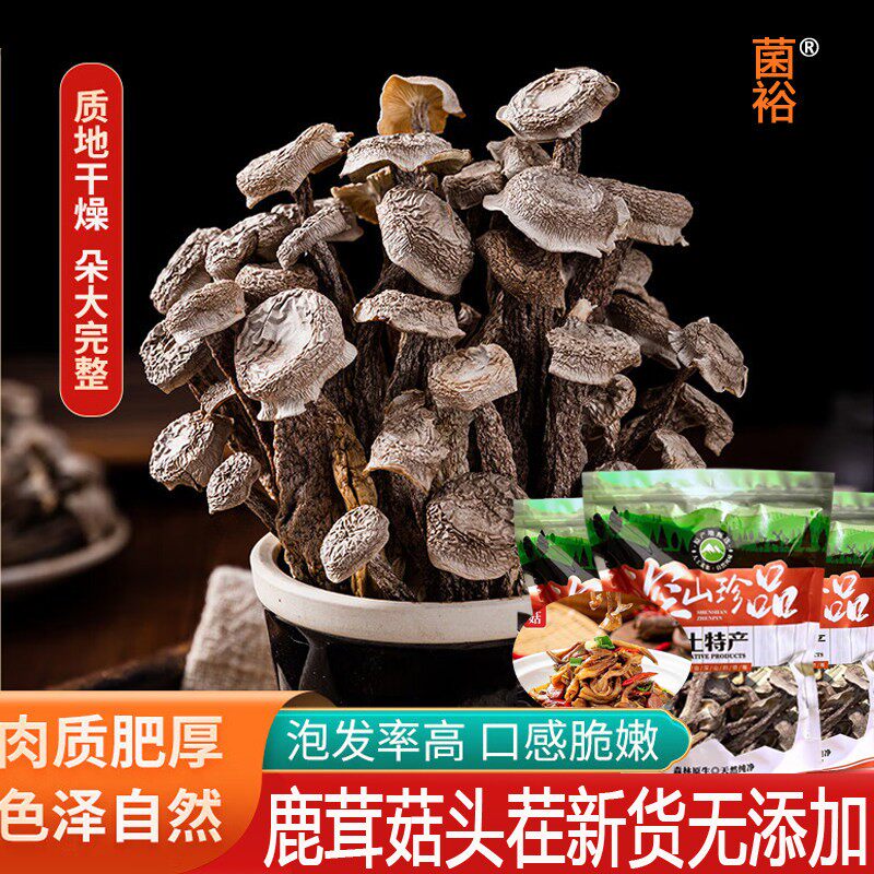 鹿茸菇干货500g鹿茸菌非特级野生古田脆脆菇特产煲汤食材蘑菇香菇
