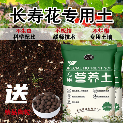 长寿花专用土种花种菜盆栽土壤肥料绿植家用有机肥料营养土