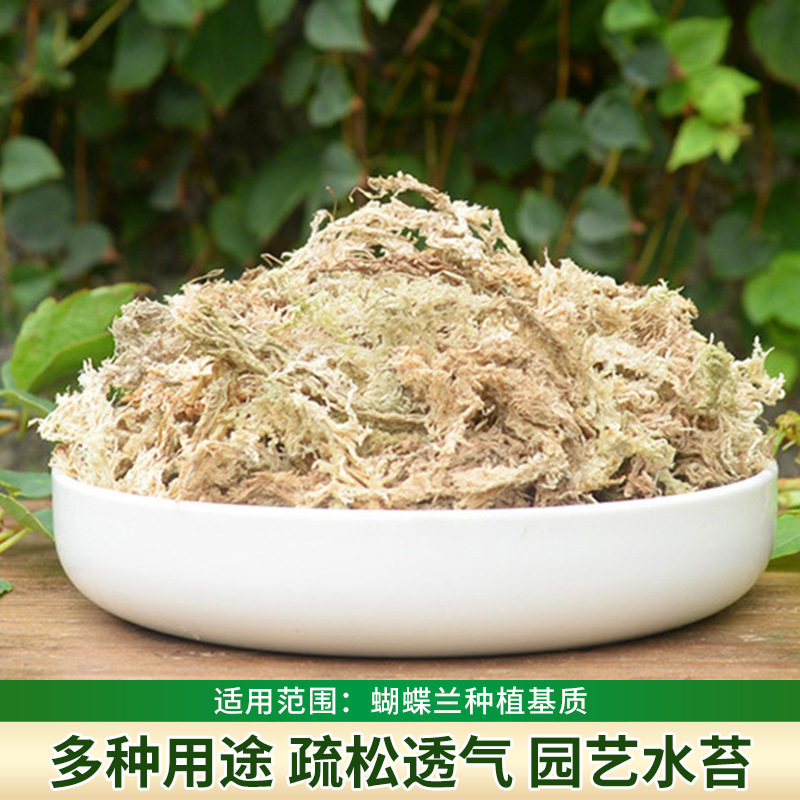 水苔藓青苔蝴蝶兰石斛兰花专用营养土乌龟爬宠造景垫材现货代