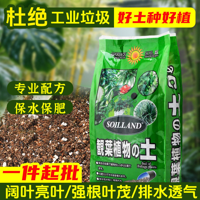观叶绿叶植物专用营养土绿萝盆栽