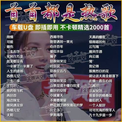 【柏林之声】2025热歌精选车载音乐U盘抖音同款dj流行经典老歌mp3