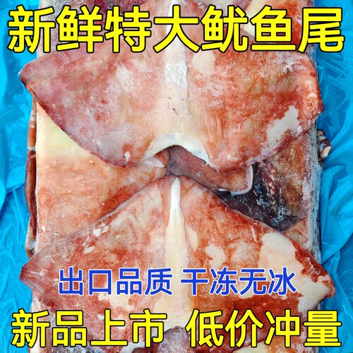 超大鱿鱼尾商用新鲜秘鲁鱿鱼耳鱿鱼翅鱿鱼片鲜活分割冷冻食材无冰