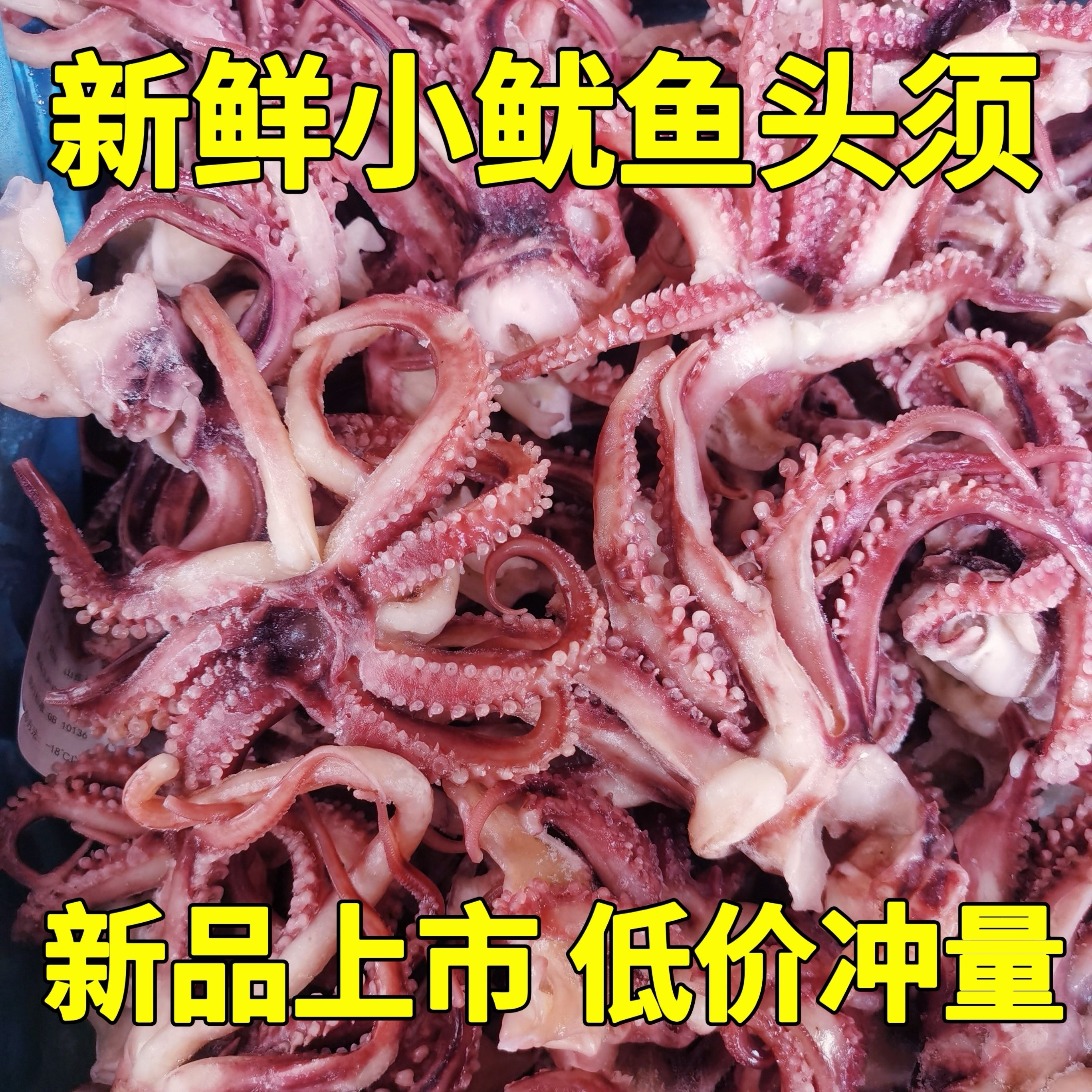 小鱿鱼须新鲜冷冻鱿鱼头小八爪须鱿鱼爪鱿鱼须烧烤炒菜火锅食材