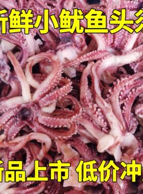 小鱿鱼须新鲜冷冻鱿鱼头小八爪须鱿鱼爪鱿鱼须烧烤炒菜火锅食材