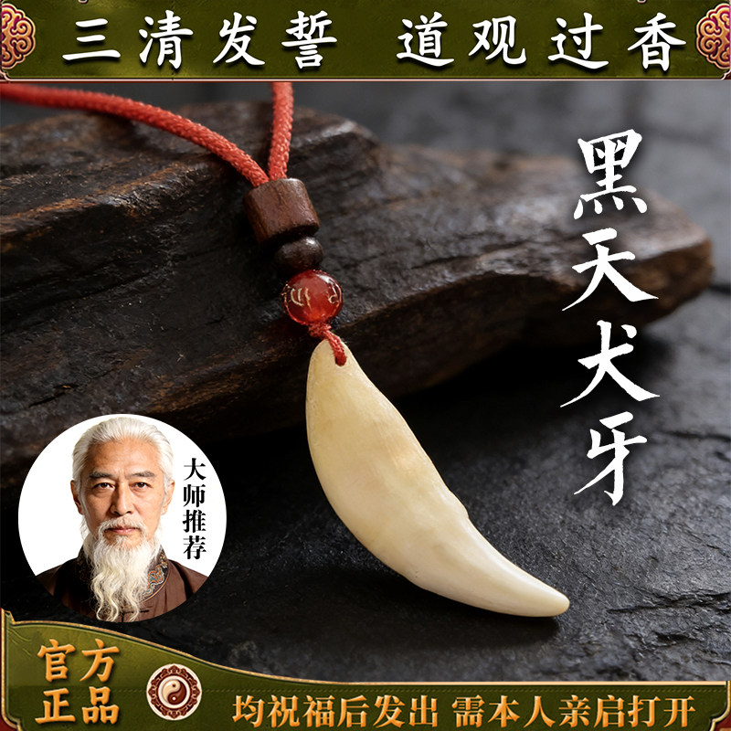 正宗黑狗牙真品大黑狗牙吊坠男女挂件项链狼牙护身符成人挂件