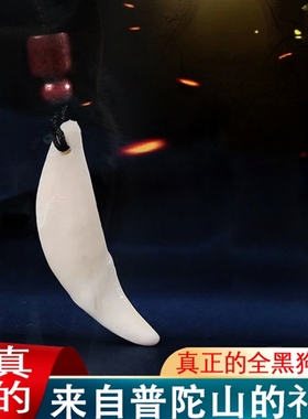 正宗黑狗牙真品大黑狗牙吊坠男女挂件项链狼牙护身符成人挂件