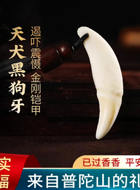 正宗黑狗牙真品大黑狗牙吊坠防惊压惊男女挂件项链狼牙护身符成人