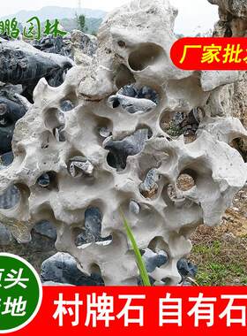低调简约日式风格海南太湖石假山点亮别墅花园庭院静享品味生活