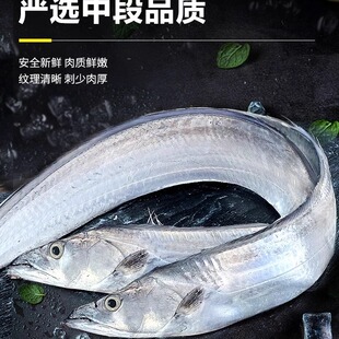 北部湾段鲜活冻新鲜中段特级大带鱼海鲜5斤