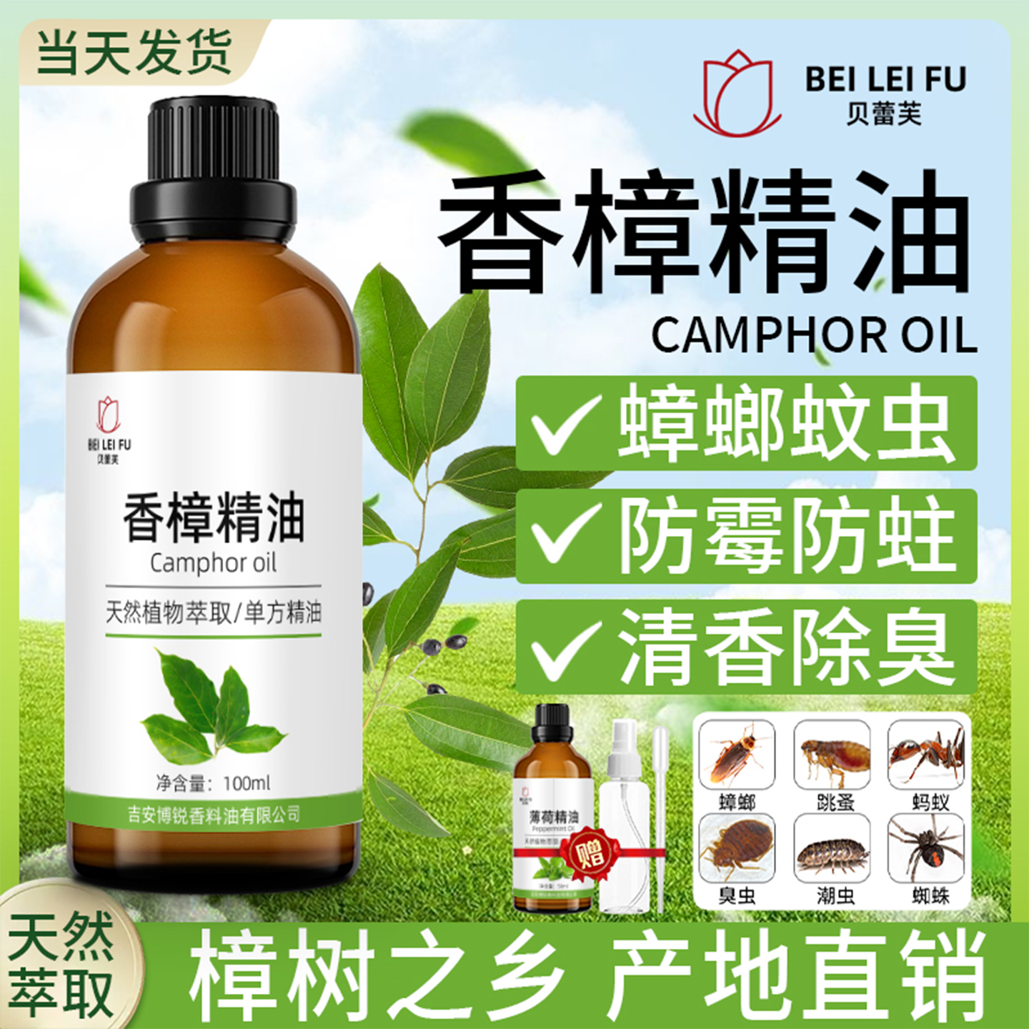 純天然香樟精油驅蟑螂無毒防蛀蟲