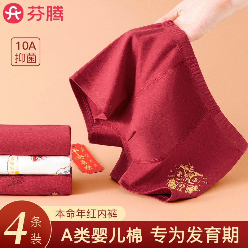 芬腾本命年男童纯棉内裤