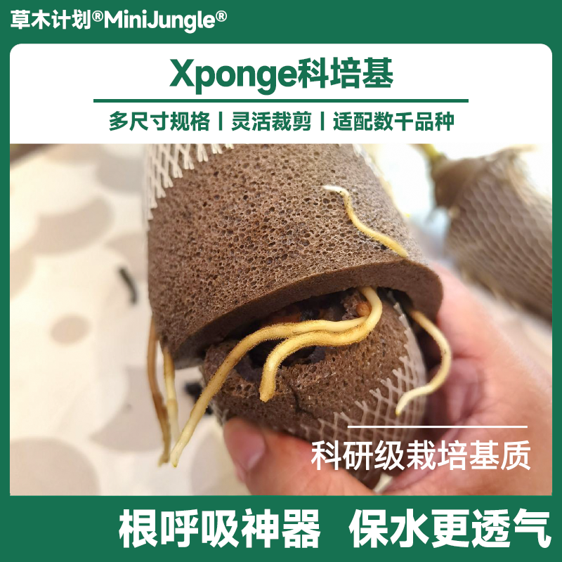 【Xponge科培基】无土多肉海绵水培基质懒人花盆代替水苔手工造型