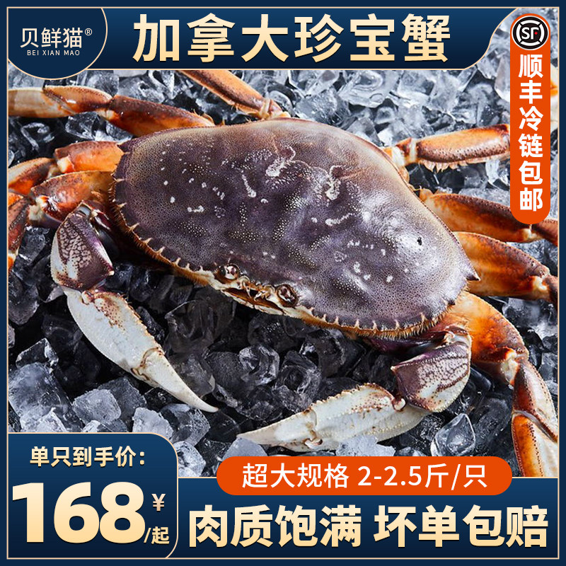 加拿大活冻珍宝蟹海鲜水产鲜活冷冻肉蟹大螃蟹面包蟹太子蟹2-2.