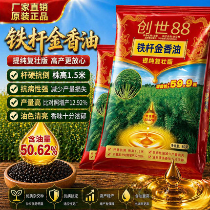 创世88铁杆金香油高产杂交油菜种子抗病抗到强含油高出油高可机收