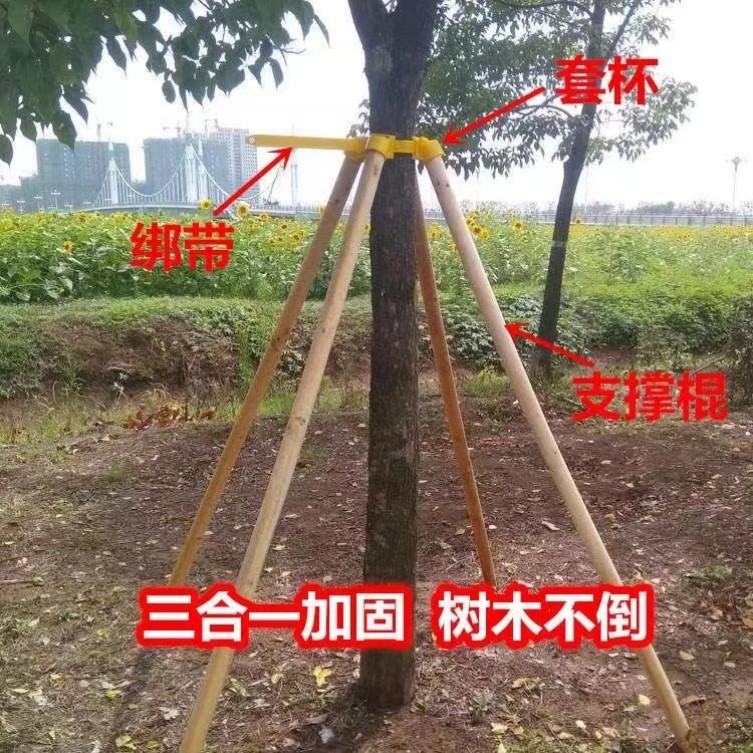 园林绿化树木支撑固定器大树防风苗木木棍支撑固定器黄色套杯