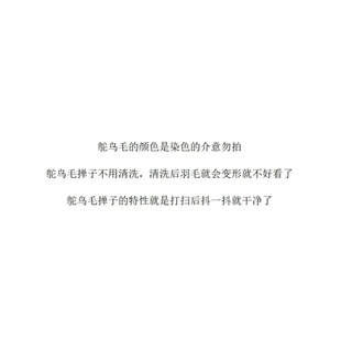 饰品 孔雀鸵羽掸家用除尘清洁摆件防静电不掉毛胡桃木手柄高档装