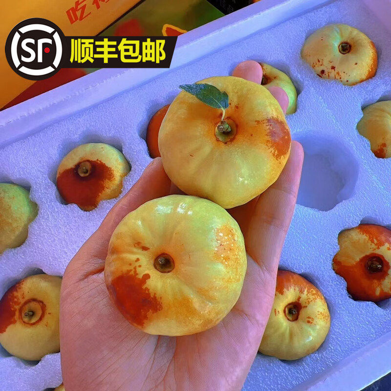 【顺丰速发】新鲜蟠枣现摘大潘枣脆甜青枣非大荔冬枣孕妇当季水果