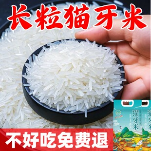 2025年新米超长粒香米大米猫牙丝苗米农家米煲仔饭早稻米一级真空