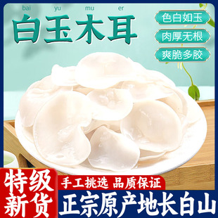 正宗长白山野生白玉木耳特级干货东北特产肉厚干净无根官方旗舰店