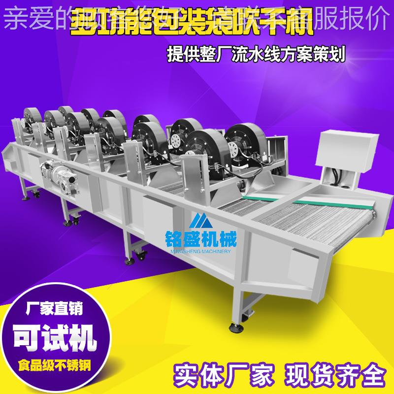 果软装袋去袋水风干机 休闲食品包装除水机 包蔬清TWX洗风干流水