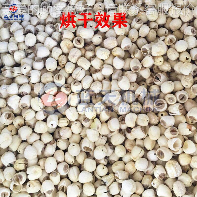白莲烘ZAK干机 莲莲蓬药子材烧物质生颗粒烘干房 莲心莲子烘干设