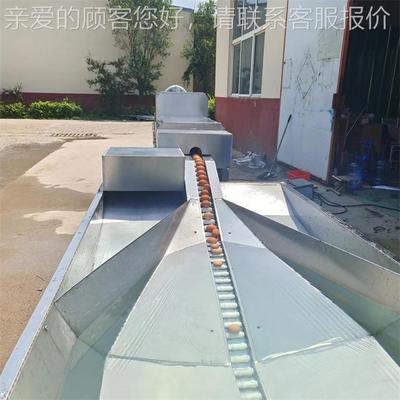 全自动洗蛋机 全动蛋清洗机 高ZMA效节省时自省能人工 可选鸡配整