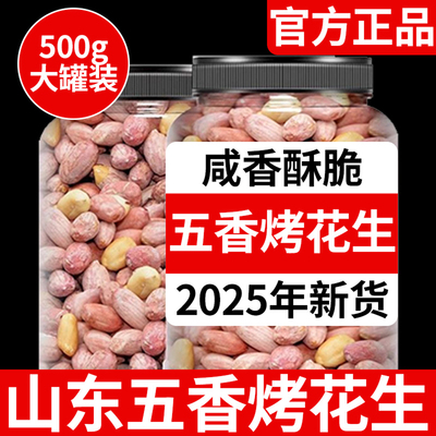 【农科院出品】山东五香烤花生