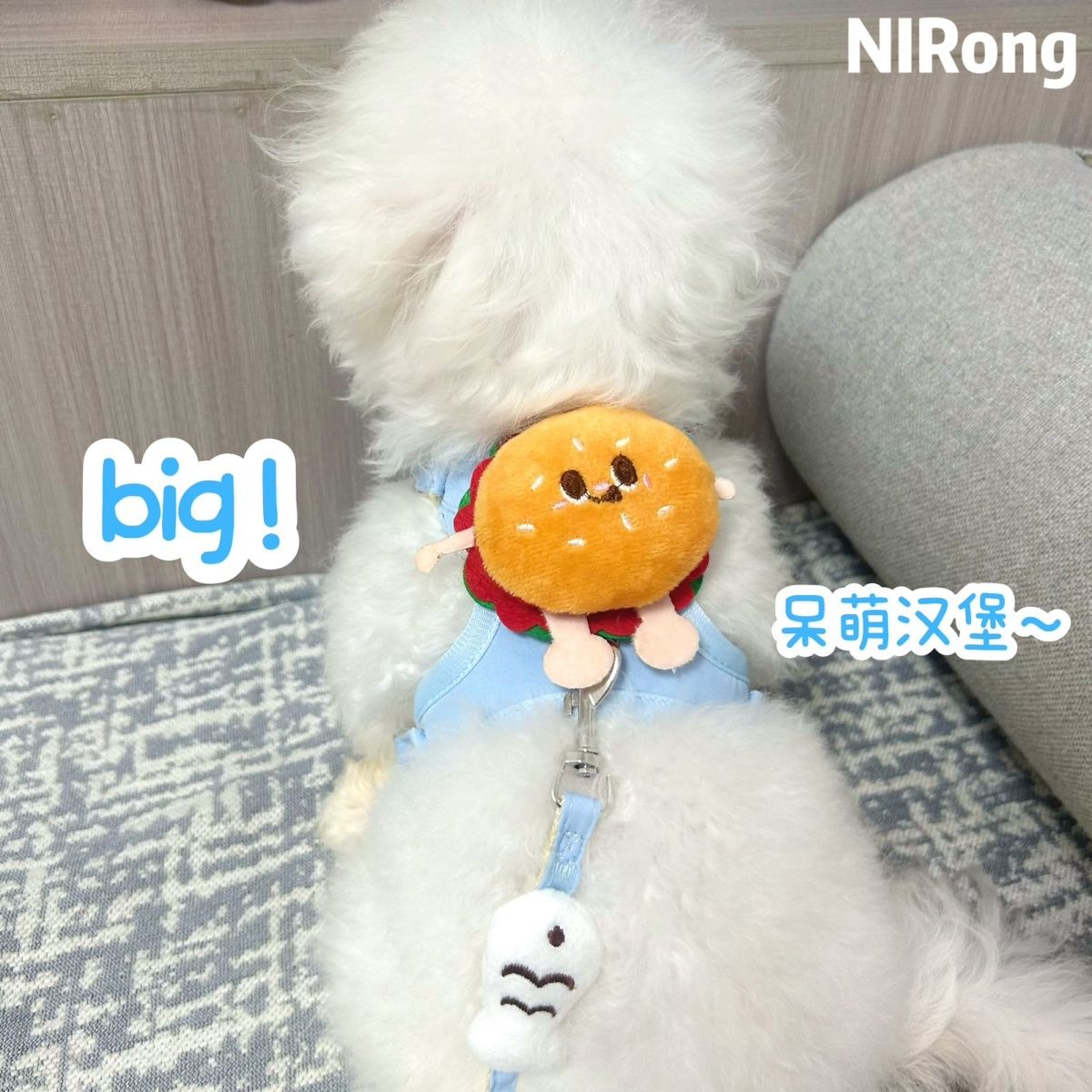 汉堡背心式防脱狗猫牵引绳可伸缩