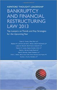 现货 英文原版 Intellectual Property Law 2013:Top Lawyers on Trends an