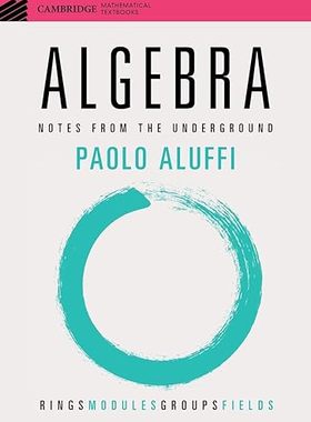 【3-6周达】英文原版 Algebra (Cambridge Mathematical Textbooks)... 9781108958233