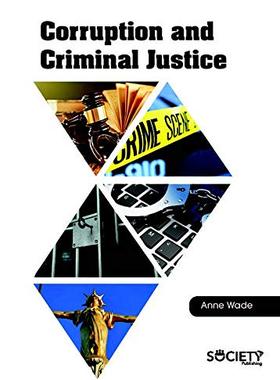 现货 英文原版 Corruption and Criminal Justice... 9781773610047