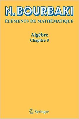 现货 代数：第 8 章（数学要素）（法文版）Algèbre:Chapitre 8 (Elements De Mathematique) (French E 9783540353157