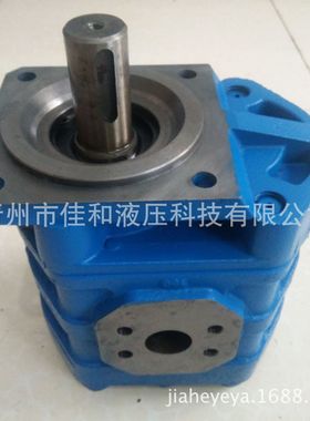 803009400徐工装载机工作泵CBGJ3100A