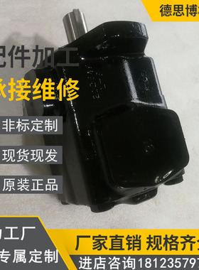 液压泵PVV1-1X/018LA15DMB装卸机械高压泵PVV5-1X/154RA15UMCUMB