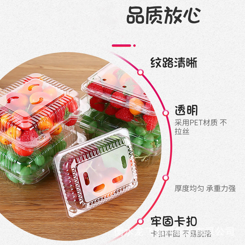 厂家直供批发125克包装水果盒一次性打包果蔬盒 蓝莓盒水果包装盒