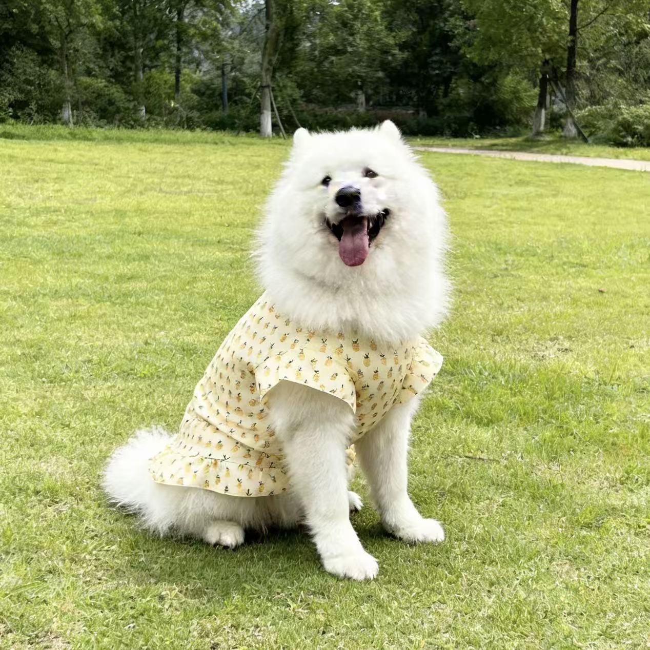 大狗衣服宠物背心裙子春夏薄款金毛犬萨摩耶拉布拉多边牧防晒衣服