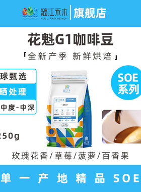 潞江禾木 埃塞俄比亚SOE花魁G1咖啡豆 新鲜烘焙可现磨咖啡粉250G