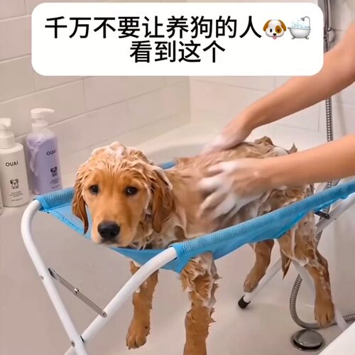 【宠物洗澡神器】宠物折叠洗澡架猫狗洗漱用具宠物洗澡吹毛固定架