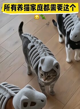 【猫龙~】恐龙骨架宠物衣服创意趣味会发光猫猫面具搞怪宠物头套