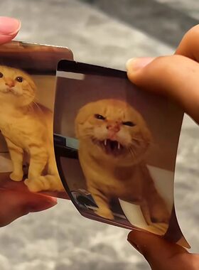搞怪可爱耄耋小猫光栅卡