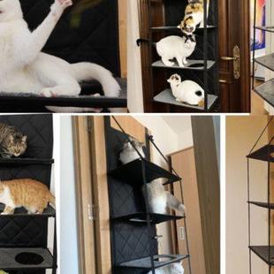 H门后猫爬架猫别墅猫笼家用室内猫屋猫窝超大空间猫房猫咪